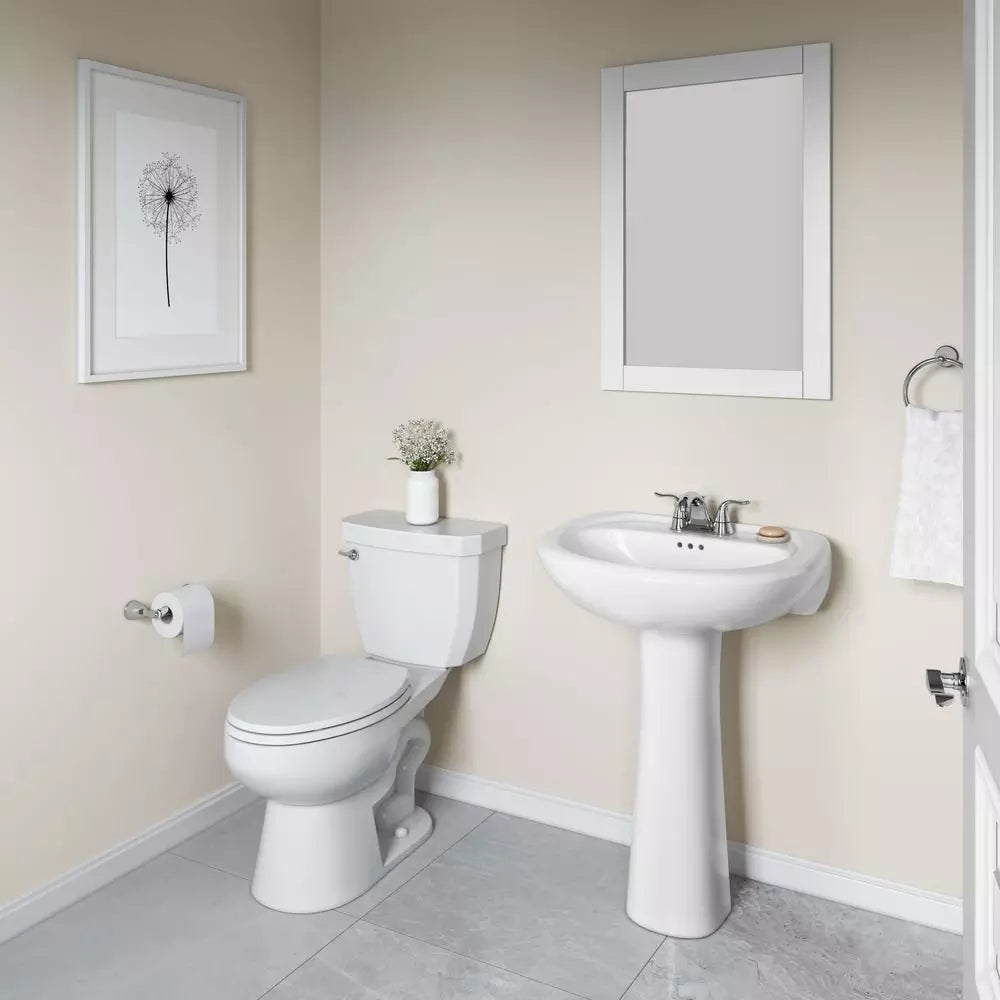 PROFLO Lisbon Valley 24 in. Oval Vitreous China Pedestal Bathroom Sink in White