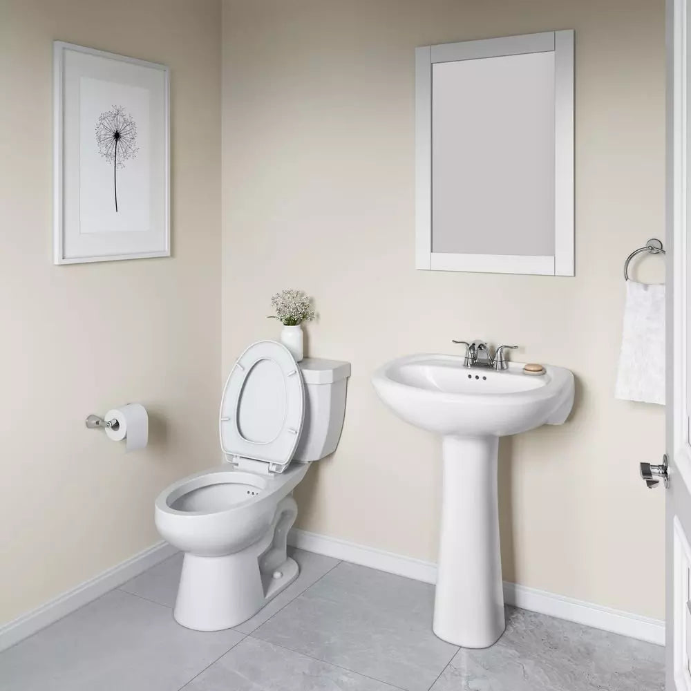 PROFLO Lisbon Valley 24 in. Oval Vitreous China Pedestal Bathroom Sink in White