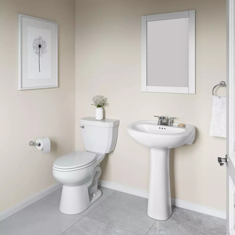 PROFLO Lisbon Valley 24 in. Oval Vitreous China Pedestal Bathroom Sink in White