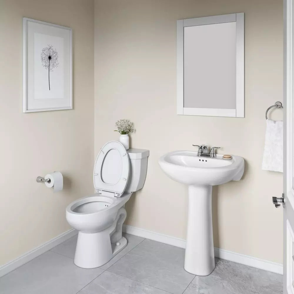 PROFLO Lisbon Valley 24 in. Oval Vitreous China Pedestal Bathroom Sink in White