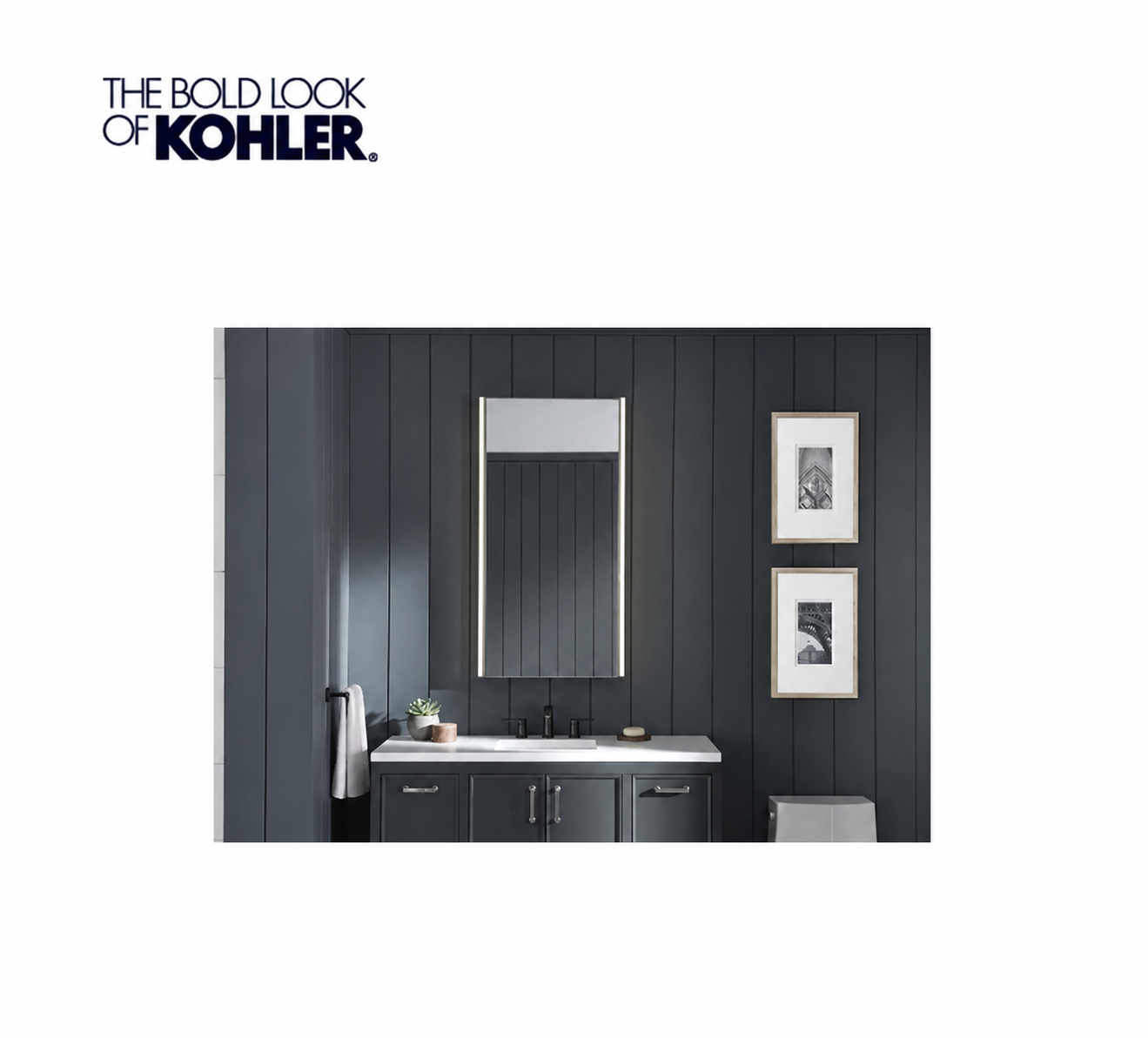 Storage / Cabinet - KOHLER CO - 22 x 40 in. Surface Mount Medicine Cabinet in Dark Anodized Aluminum